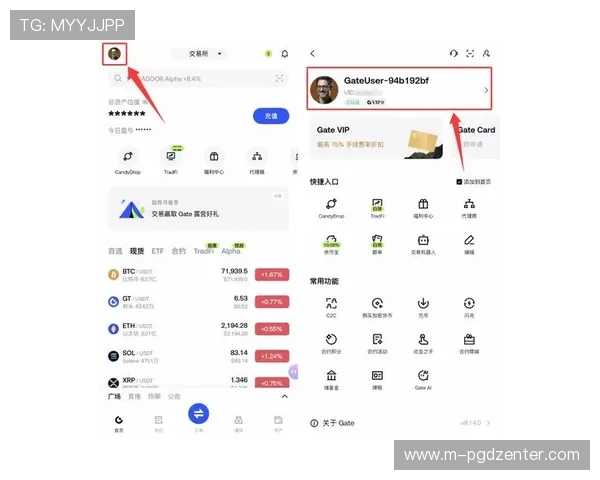 PGSharpGo官网下载地址最新更新，详细操作指南与安全保障全解析